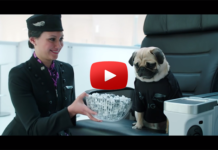 „Men In Black-style” biztonsági videó az Air New Zealand-tól
