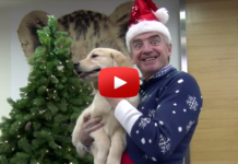 O’Leary is boldog Karácsonyt kíván