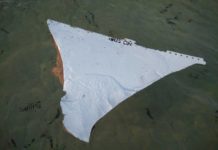 Repülőgép-roncsdarabot találtak Mozambik partjainál