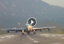 Ez tényleg majdnem mindent vitt