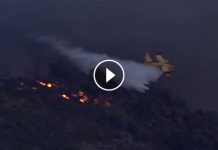 Emberfeletti küzdelem a spliti erdőtűz ellen